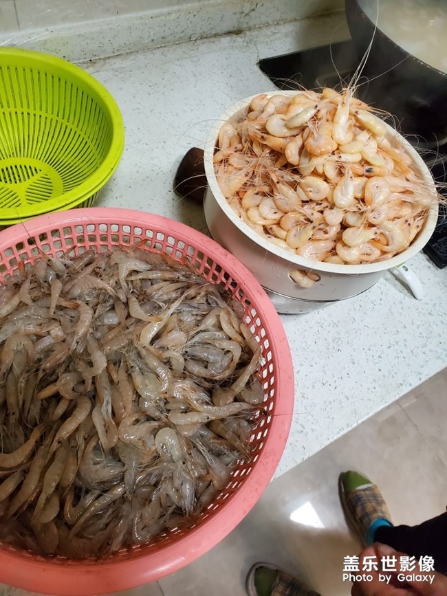 蝦 怕了