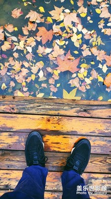 風(fēng)執(zhí)筆 落葉成畫