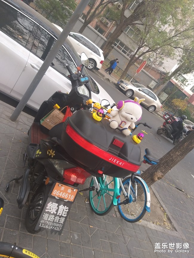 可愛(ài)