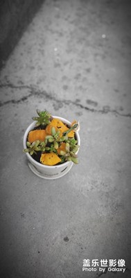 【享拍一刻】+爛片導(dǎo)演