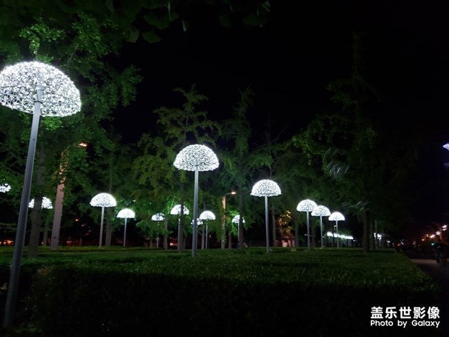 聽(tīng)說(shuō)有人喜歡貓？