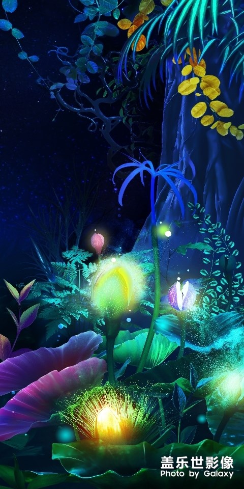 一些喜歡的壁紙。