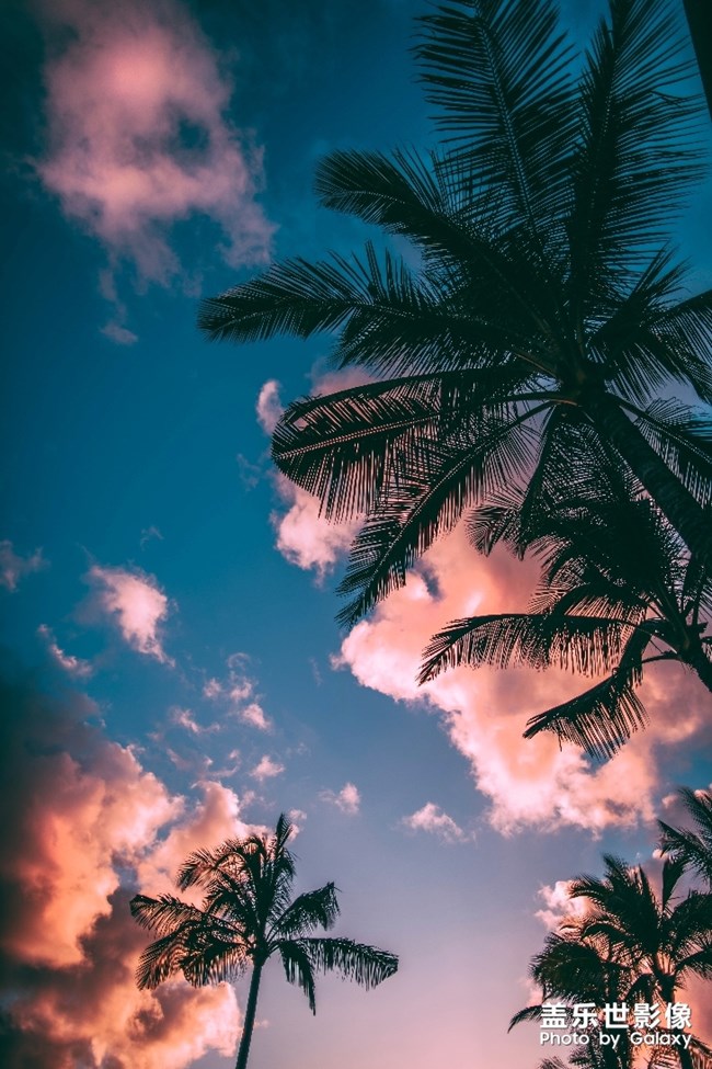 好了幾張好看的壁紙分享一下