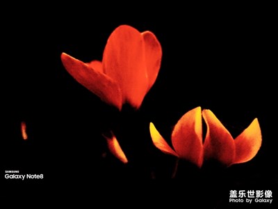 [我的生活]+生活還得繼續(xù)