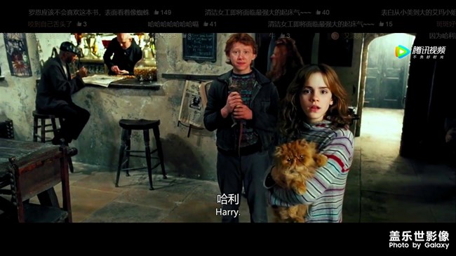 好的關(guān)系來自于弱關(guān)系
很久看tedtalk一個人一直講這