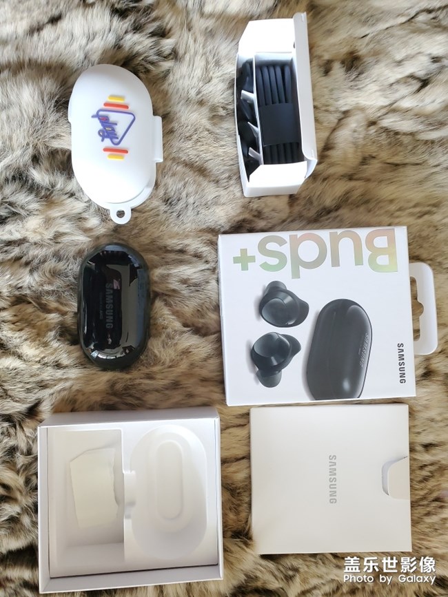 【我的專屬buds+】他來了他來了