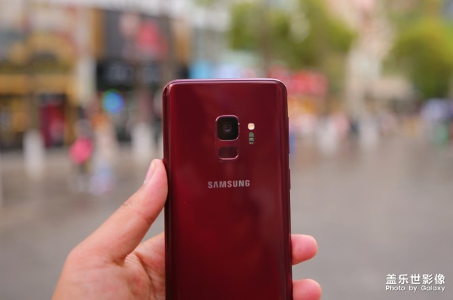 愛不釋手的勃艮第紅