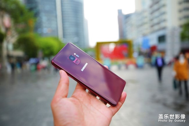 愛不釋手的勃艮第紅