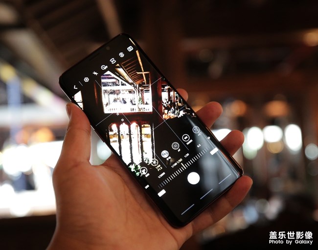 愛不釋手的勃艮第紅