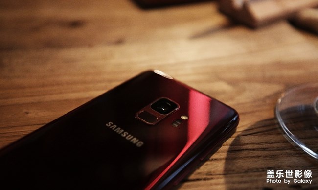 愛不釋手的勃艮第紅