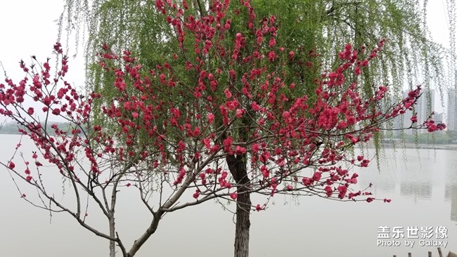 四月您好，美食來啦!㈡