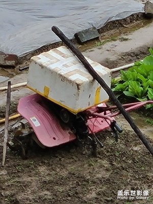 S20值得擁有。