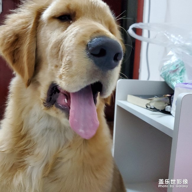 這是什么表情？