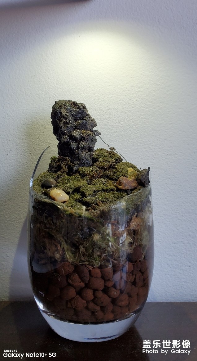 刷牙杯碎了，放個石頭進去還能接著用