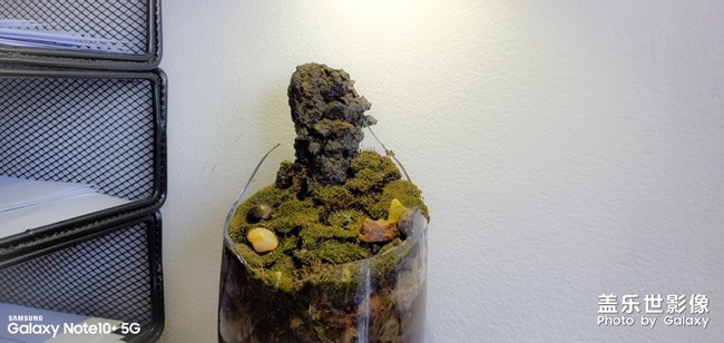 刷牙杯碎了，放個石頭進去還能接著用