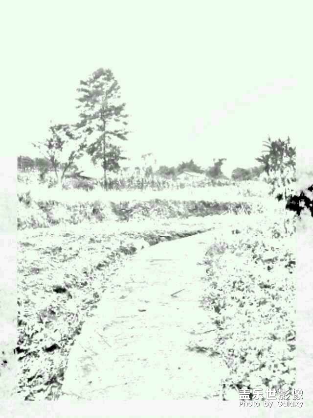 分享幾張好看的壁紙