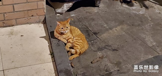 大佬的坐姿和紳士的優(yōu)雅～