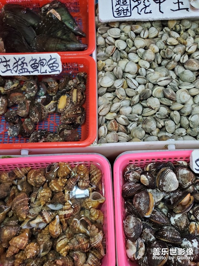 行萬里路，不如來萬頃沙