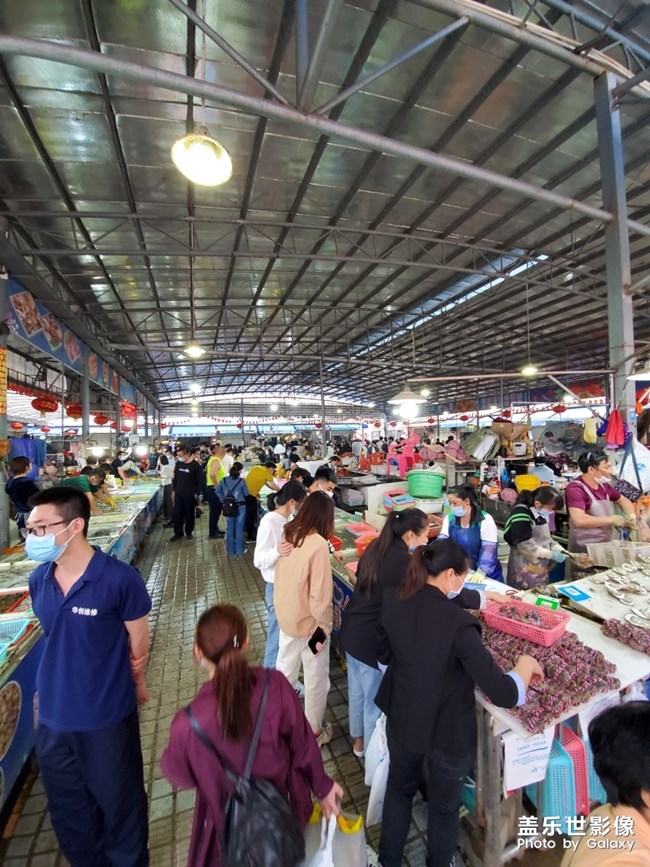 行萬里路，不如來萬頃沙