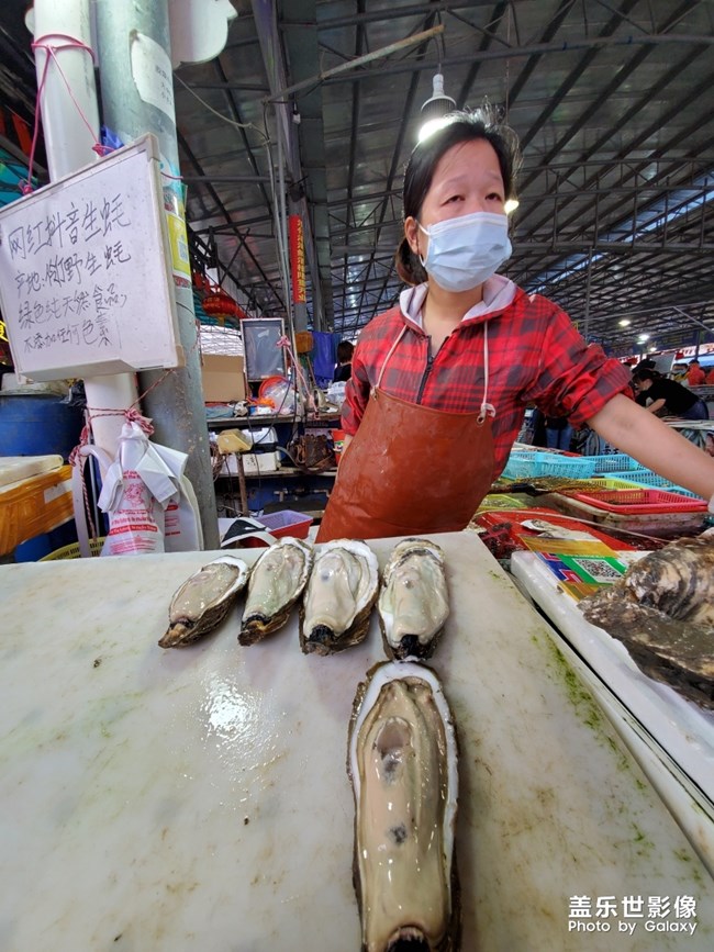 行萬里路，不如來萬頃沙