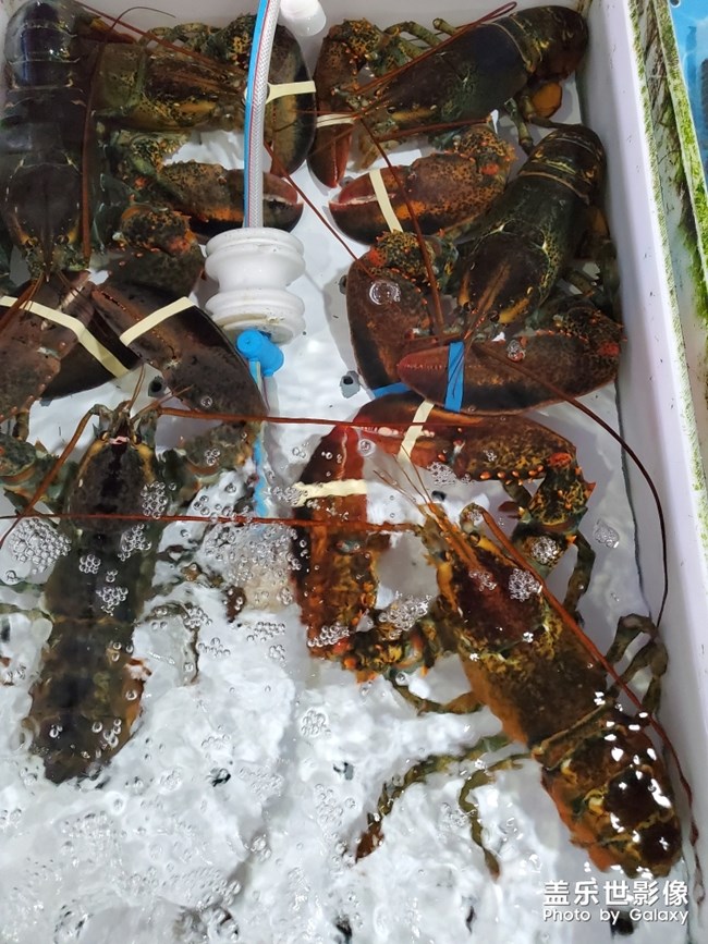 行萬里路，不如來萬頃沙