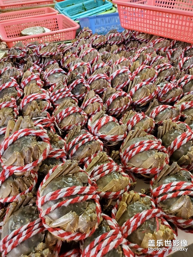 行萬里路，不如來萬頃沙