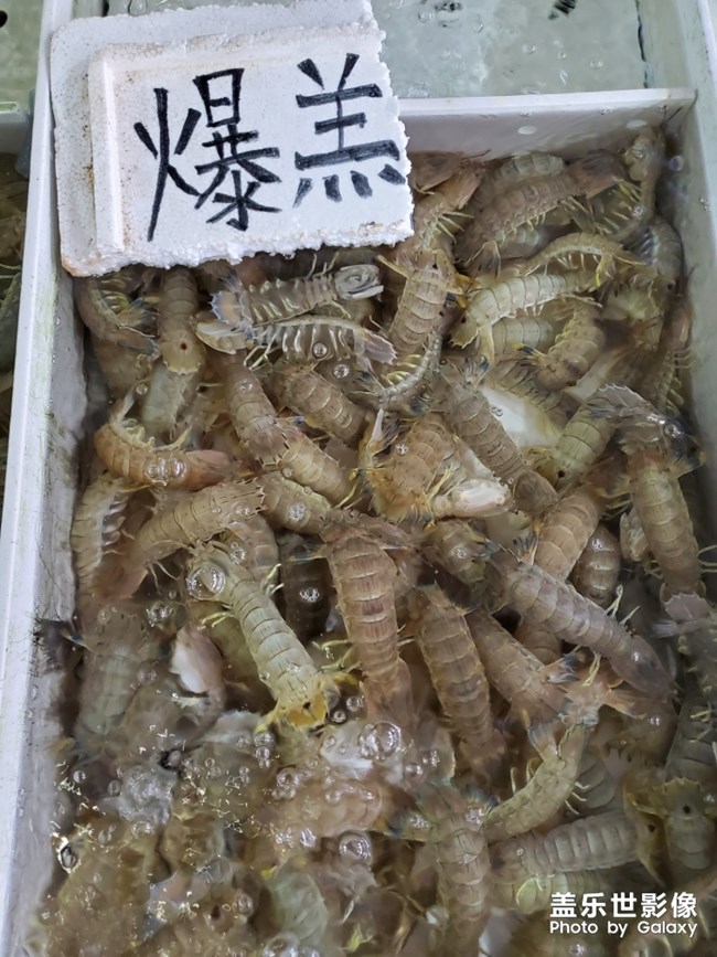 行萬里路，不如來萬頃沙