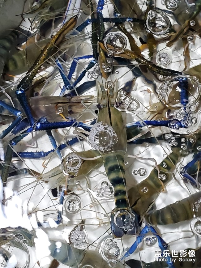 行萬里路，不如來萬頃沙