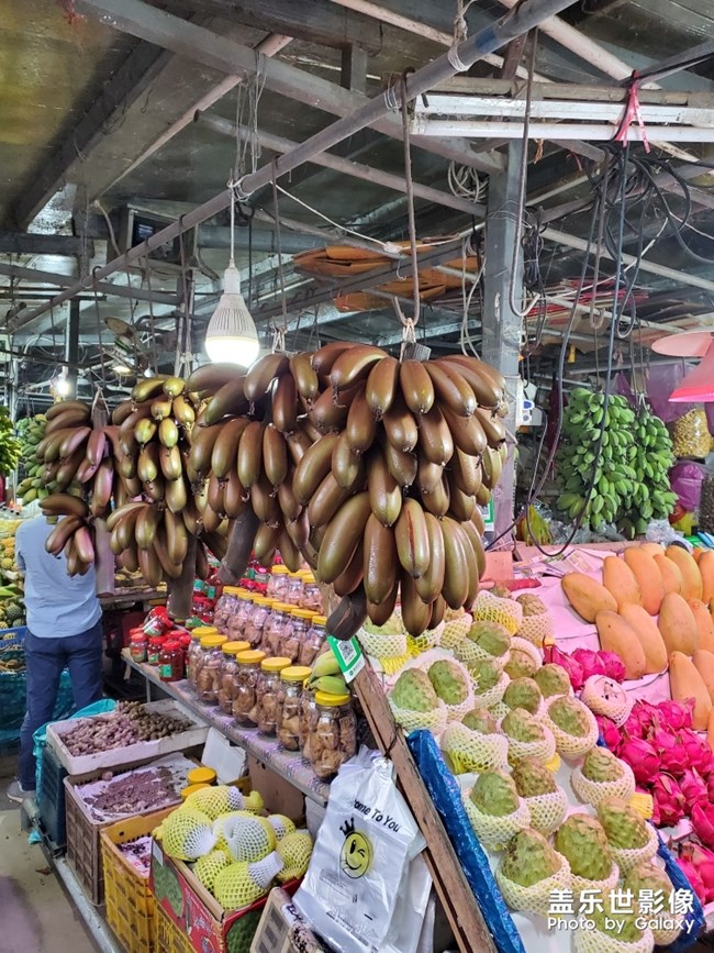 行萬里路，不如來萬頃沙