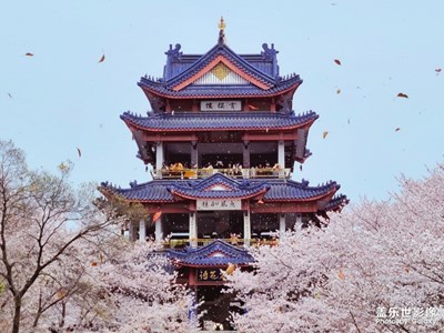 【精彩翻倍】春日漾彩 無所不艷