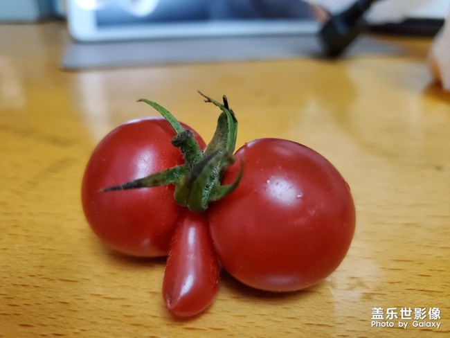 做菜菜
