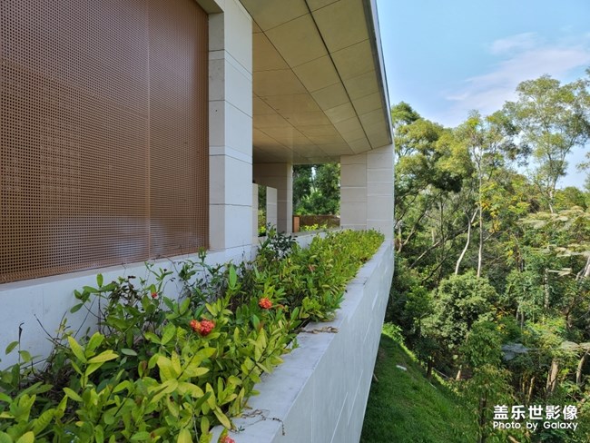 大概是深圳環(huán)境最好的WC