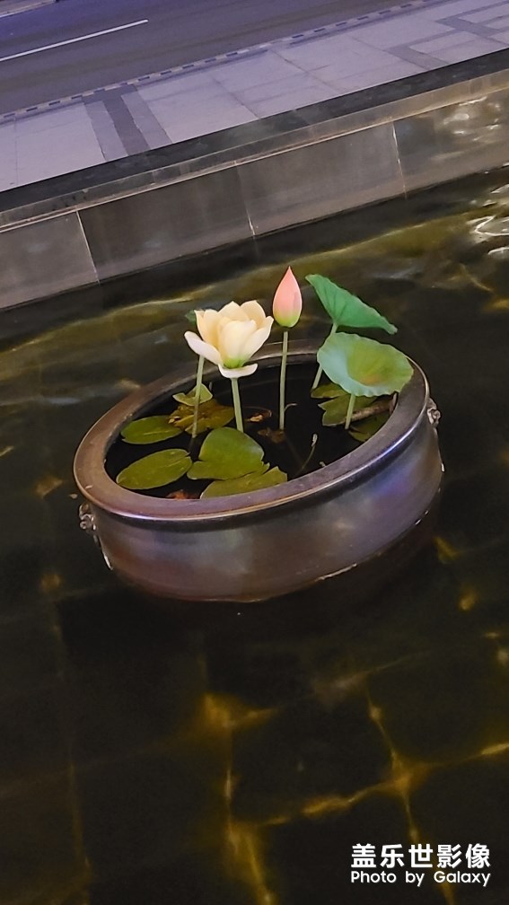 陽澄湖網(wǎng)紅服務(wù)區(qū)