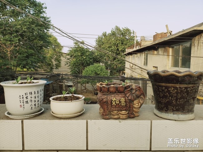 記錄小家伙的成長