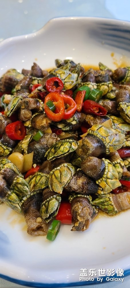 霞浦小海鮮贊贊贊