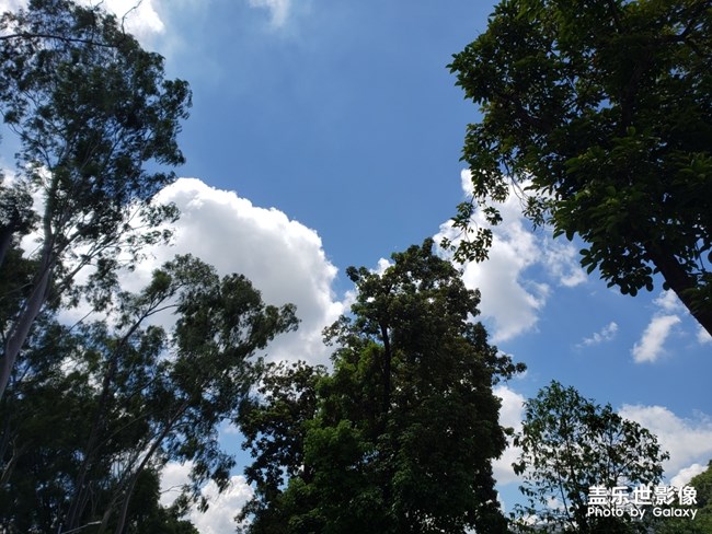 上次發(fā)了個果盤大家很喜歡