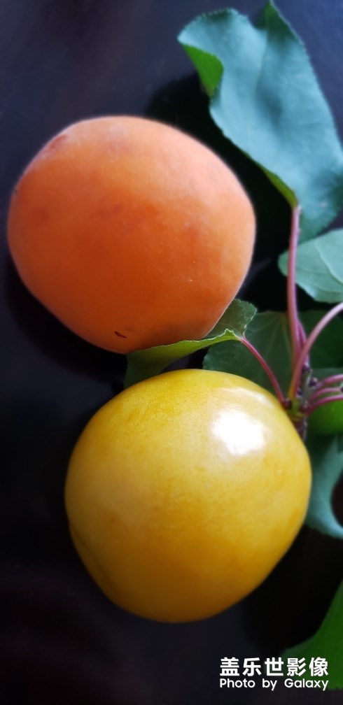 美味關(guān)系2