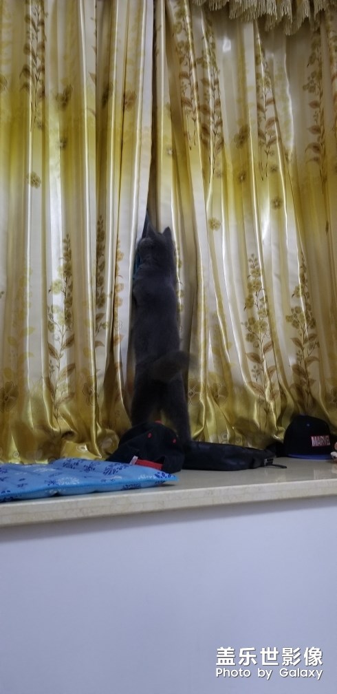 喜提10+一臺(tái)