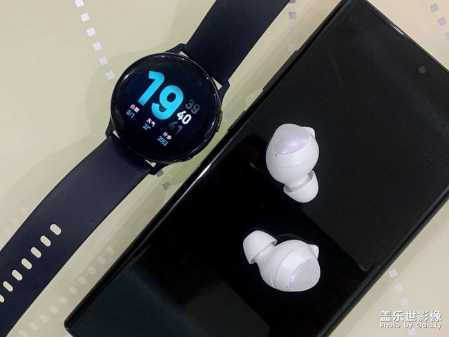 今日又添新成員