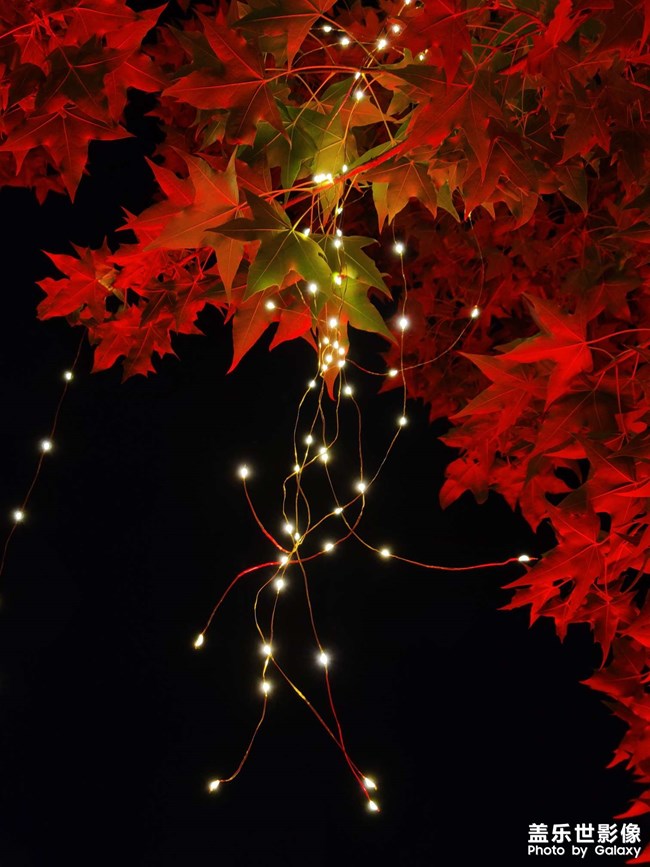 用s20+ 拍的壁紙