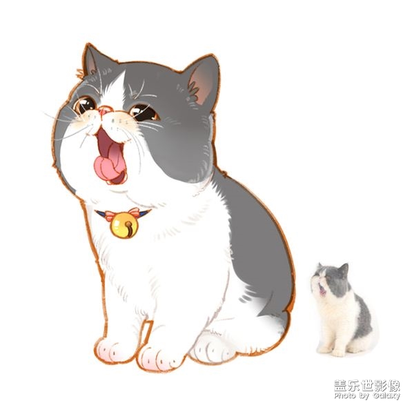 可愛的小寶寶