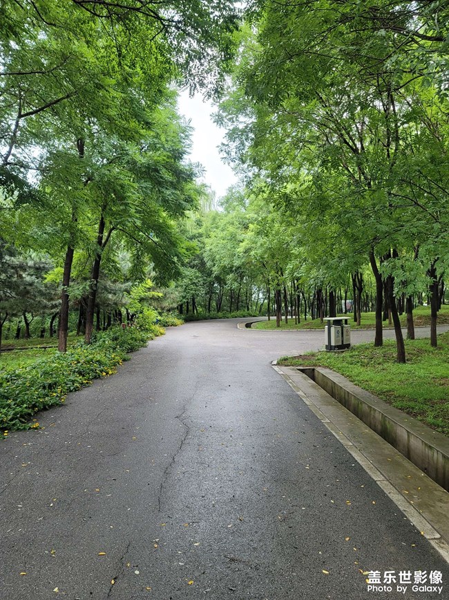 Note20U拍照近焦輪廓模糊