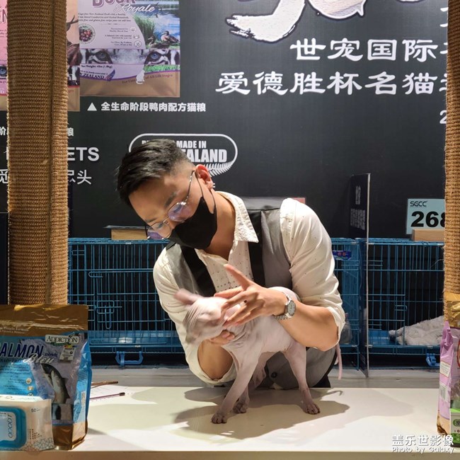 第三屆世寵國(guó)際名貓展
愛(ài)德勝杯名貓?? 選美比賽