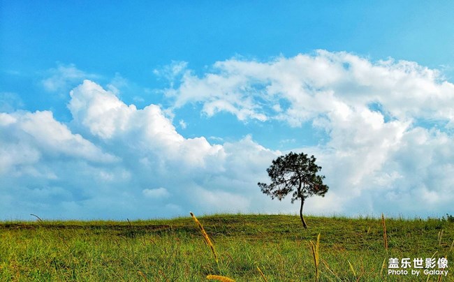 《每周星鮮事》第40期：Galaxy新品發(fā)布會 敬請期待