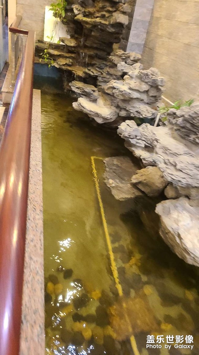 慶祝雙節(jié)，菜品很多，拍不完??門(mén)口的冬瓜就是這樣煮的