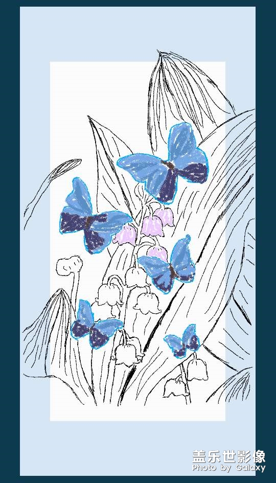 我覺得只要蝴蝶會(huì)更美