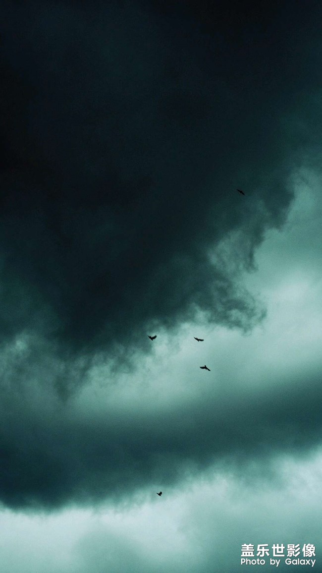 經(jīng)典圖片s10