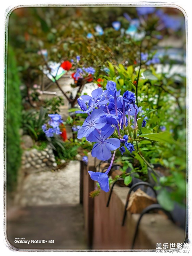 《每周星鮮事》第46期: 星粉體驗(yàn)團(tuán), 等你來參與!