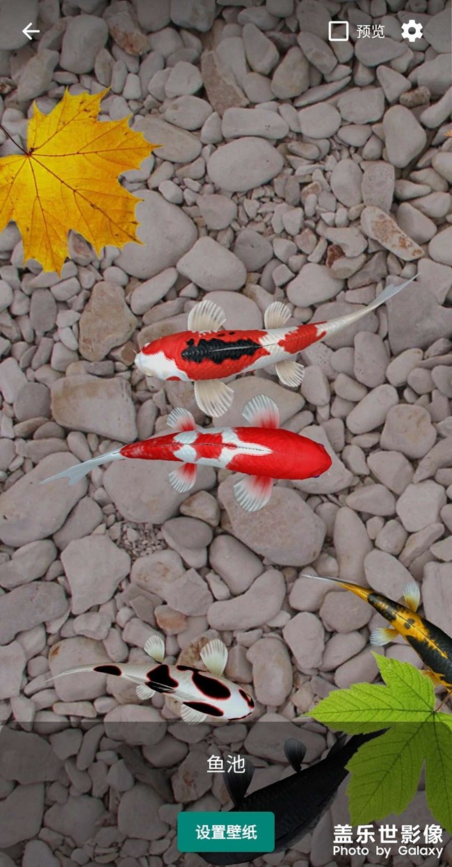 3D動(dòng)態(tài)壁紙