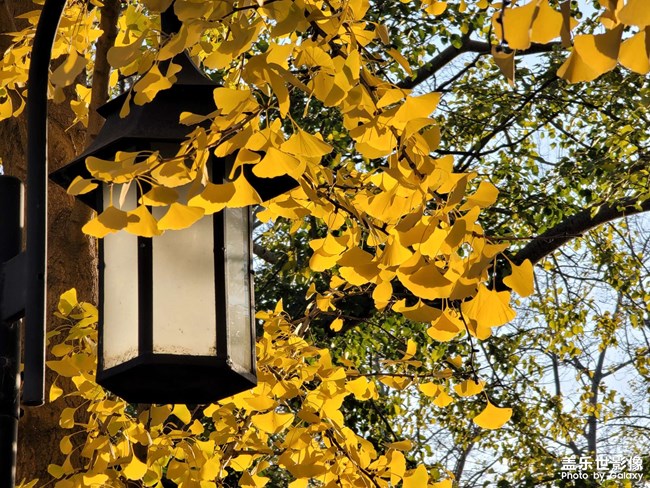 《每周星鮮事》第47期: 星粉體驗(yàn)團(tuán) 等你來(lái)參與